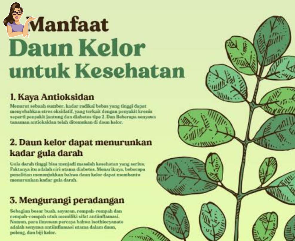 Manfaat Daun Kelor untuk Kesehatan