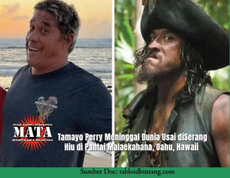 Tamayo Perry Meninggal Dunia Usai diSerang Hiu di Pantai Malaekahana, Oahu, Hawaii