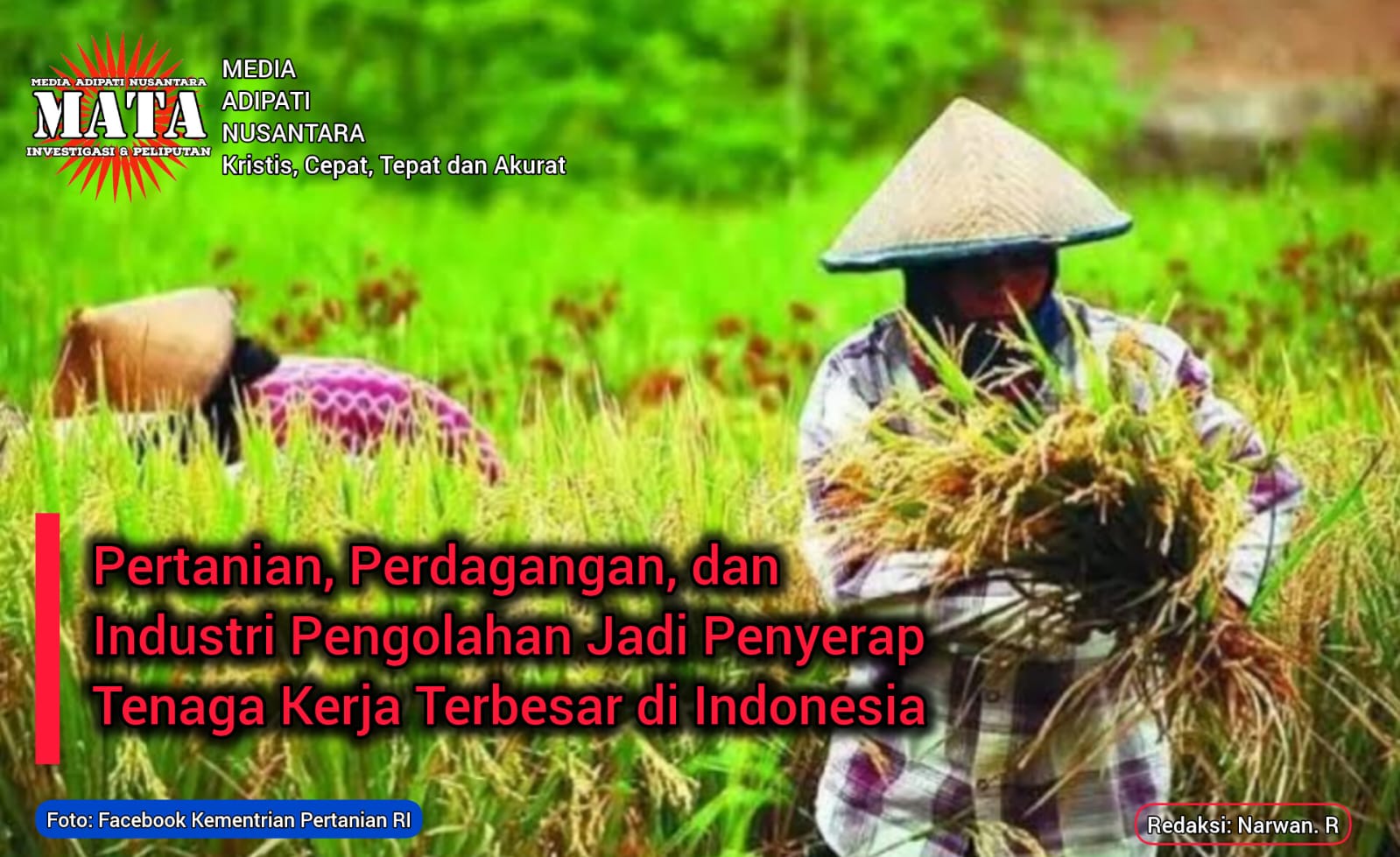 Pertanian, Perdagangan, dan Industri Pengolahan Jadi Penyerap Tenaga Kerja Terbesar di Indonesia