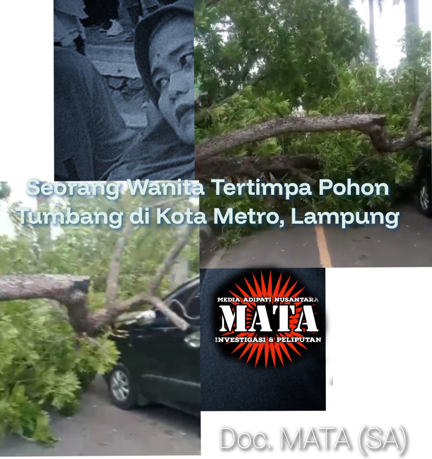 Seorang Wanita Tertimpa Pohon Tumbang di Kota Metro, Lampung
