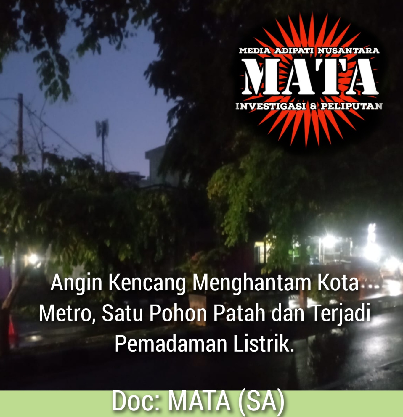 Angin Kencang Menghantam Kota Metro, Satu Pohon Patah dan Terjadi Pemadaman Listrik
