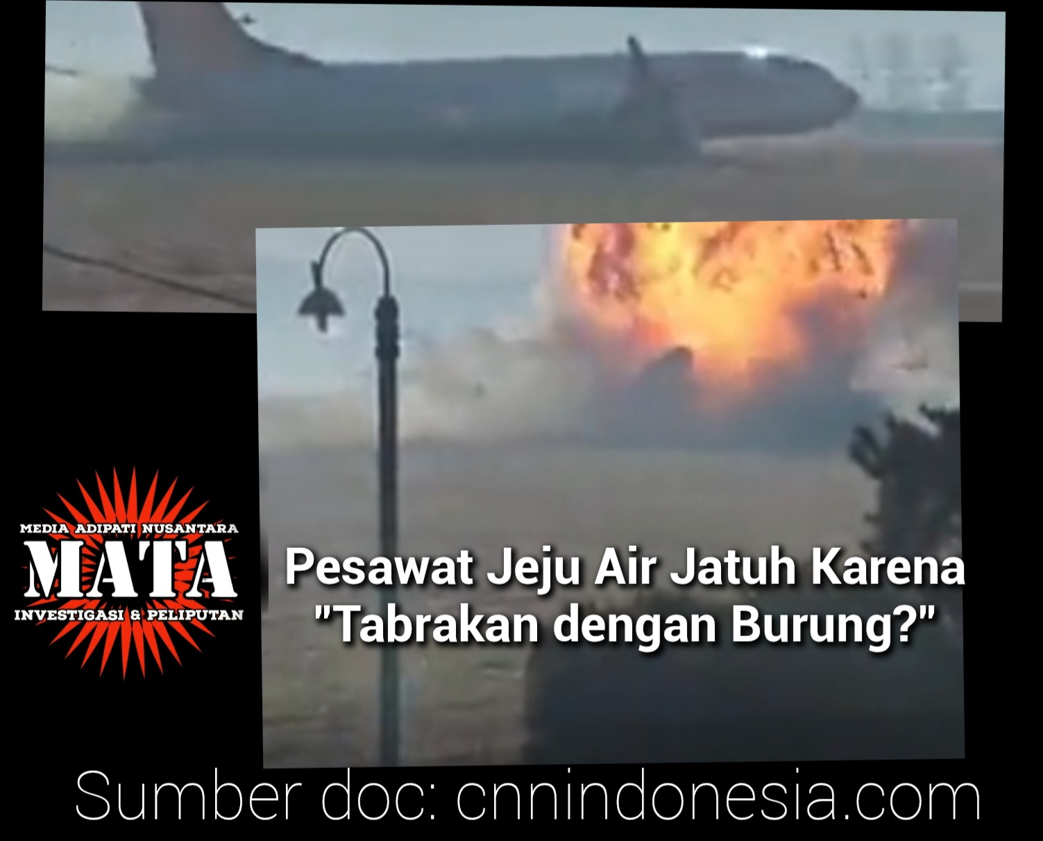 Pesawat Jeju Air Jatuh Karena “Tabrakan dengan Burung?”