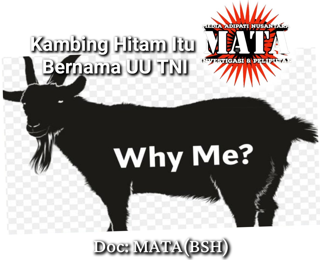 Kambing Hitam Itu Bernama UU TNI