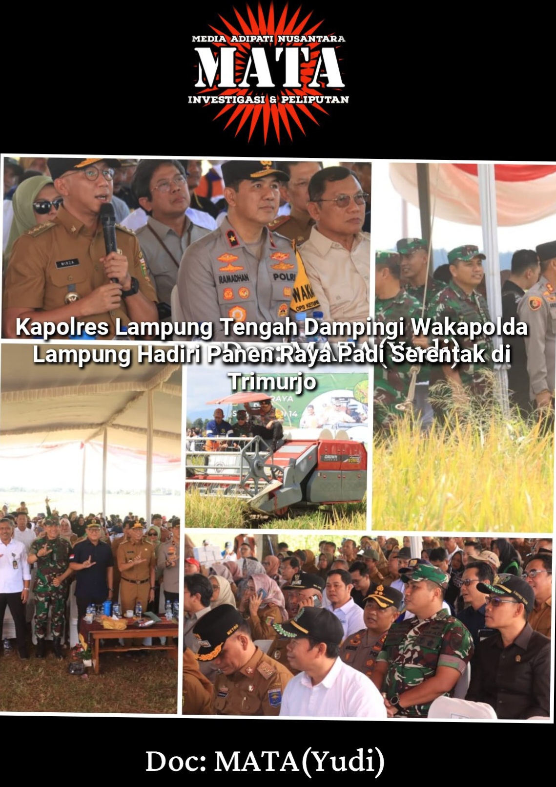 Kapolres Lampung Tengah Dampingi Wakapolda Lampung Hadiri Panen Raya Padi Serentak di Trimurjo