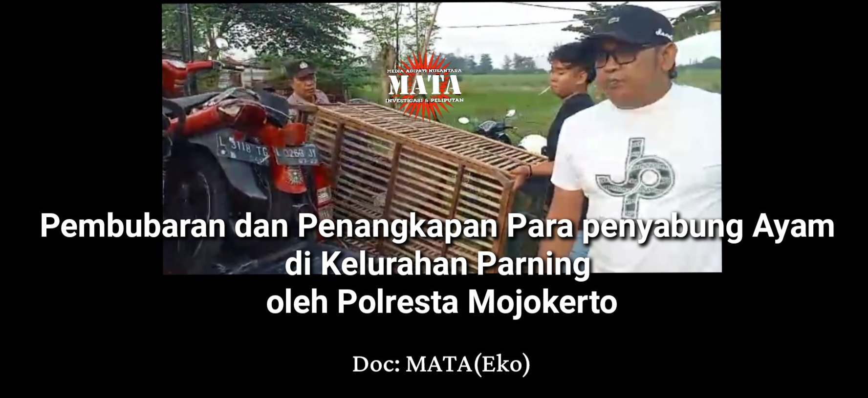 Pembubaran dan Penangkapan Para penyabung Ayam di Kelurahan Parning oleh Polresta Mojokerto