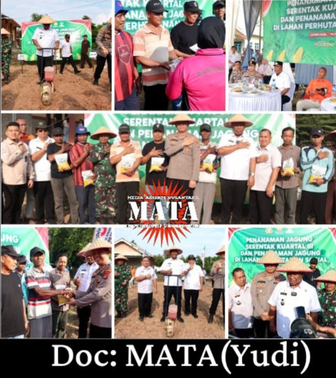 Kapolres Lampung Tengah Bersama Forkopimda Tanam Jagung Serentak Kuartal III, Dukung Swasembada Pangan Nasional