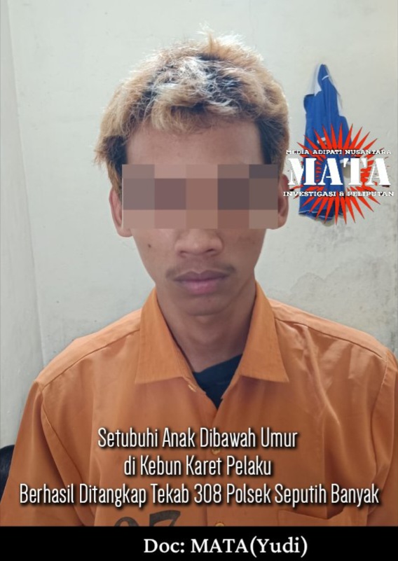 Setubuhi Anak Dibawah Umur di Kebun Karet Pelaku Berhasil Ditangkap Tekab 308 Polsek Seputih Banyak