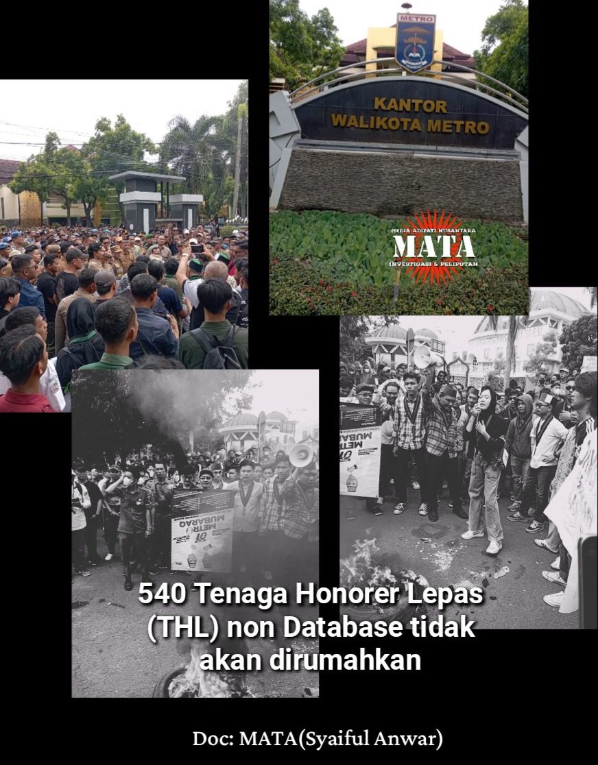 Judulnya 540 Tenaga Honor Lepas ( THL ) non data base tidak dirumahkan