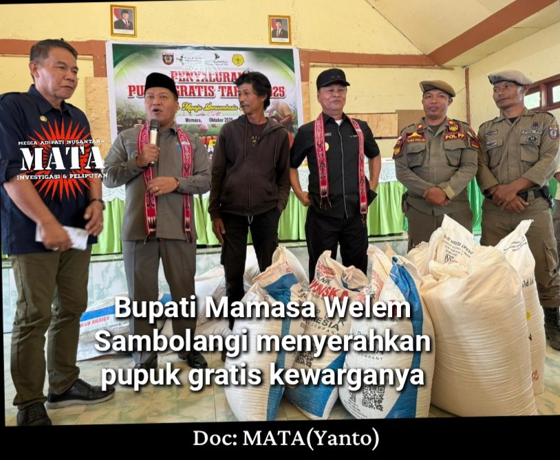 Bupati Mamasa Welem Sambolangi menyerahkan pupuk gratis kewarganya