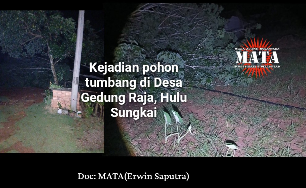 Kejadian pohon tumbang di Desa Gedung Raja, Hulu Sungkai