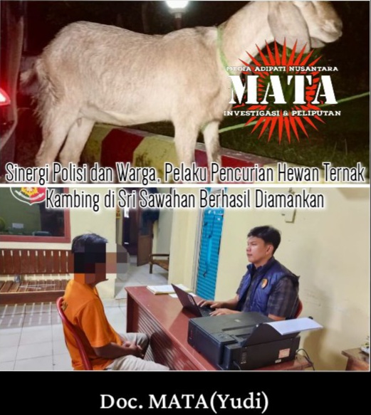 Sinergi Polisi dan Warga, Pelaku Pencurian Hewan Ternak Kambing di Sri Sawahan Berhasil Diamankan