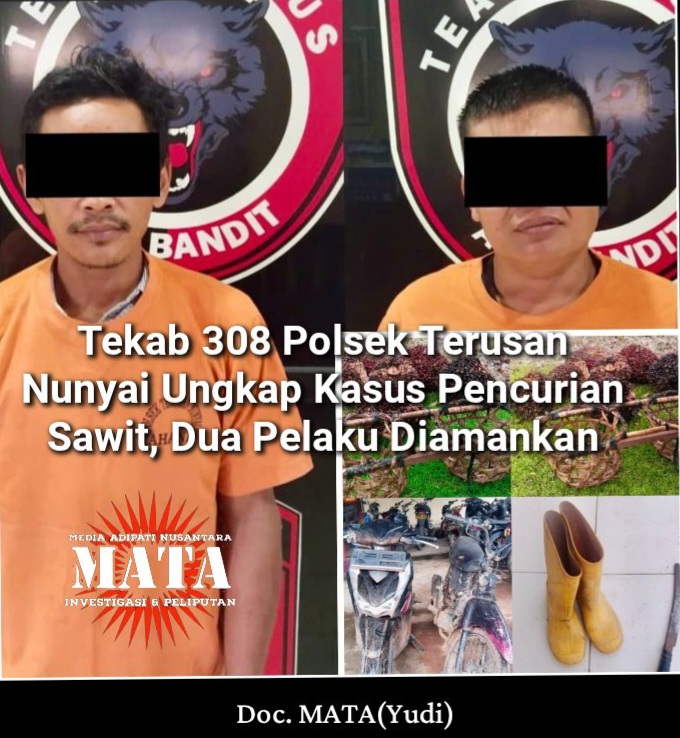 Tekab 308 Polsek Terusan Nunyai Ungkap Kasus Pencurian Sawit, Dua Pelaku Diamankan